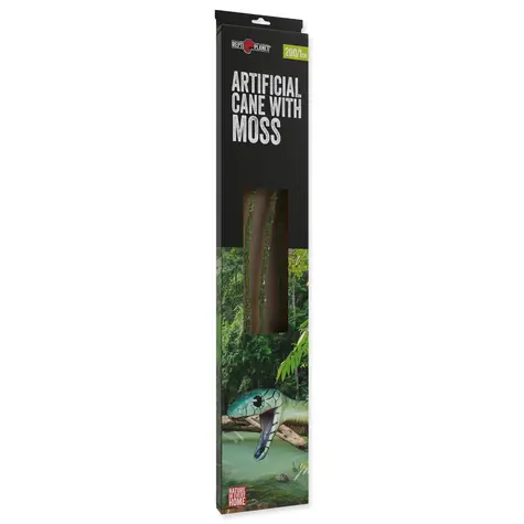 Repti Planet Dekorace liána s mechem šířka 1cm délka 200cm