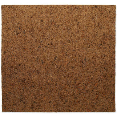 Repti Planet Pozadí Coco Pad 50x50cm