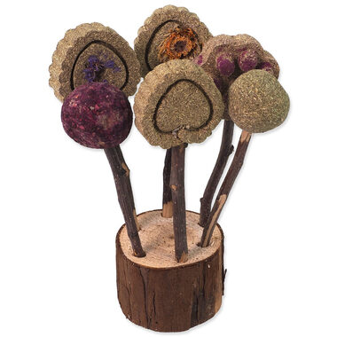 Small Animals lízátka okusovací 17cm