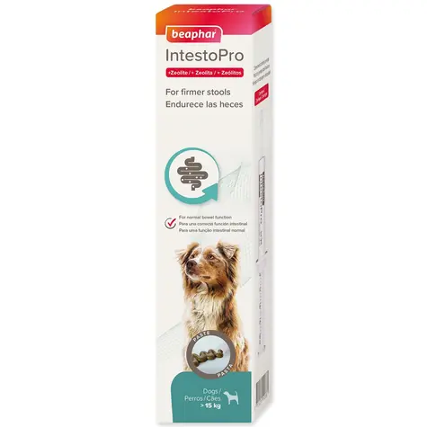 Beaphar Pasta IntestoPro L pro velké psy 2x 20ml
