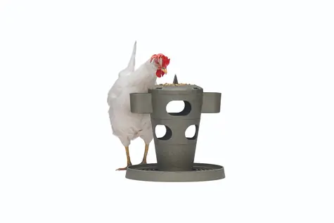 Beeztees Snack Tower Krmítko pro drůbež šedé 32,5cm