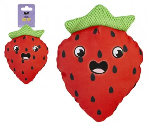 Pet Pro Floating Strawberry Plush Dog Toy / Plovoucí hračka jahoda