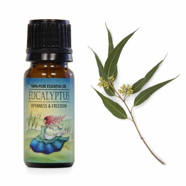 Airbi Esenciální olej EUKALYPTUS 10 ml
