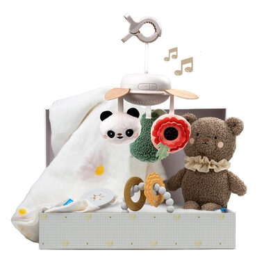 Taf Toys Sada hraček Newborn Luxe / od narození