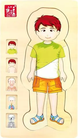 Small Foot Dřevěné hračky puzzle anatomie Tim / od 3 let