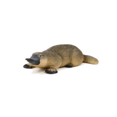 Mojo Animal Planet Ptakopysk podivný / od 3 let