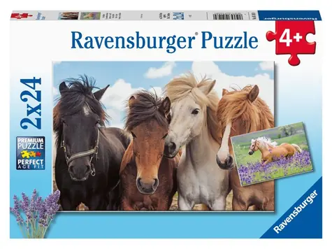 Ravensburger - Puzzle - Fotky koní / 2x24 dílků / od 4 let