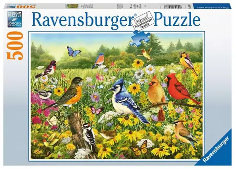 Ravensburger Ptačí louka / 500 dílků / od 12 let