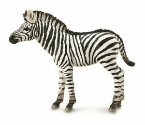 Collecta Zebra / od 3 let