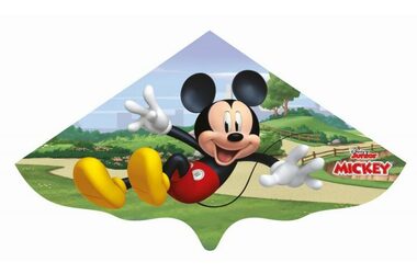 Günther Drak MICKEY MOUSE / od 4 let