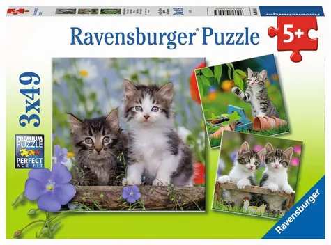 Ravensburger Koťátka / 3x49 dílků / od 5 let 