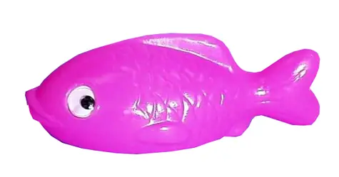 Směr Ryba 17 cm / od 12 měsíců