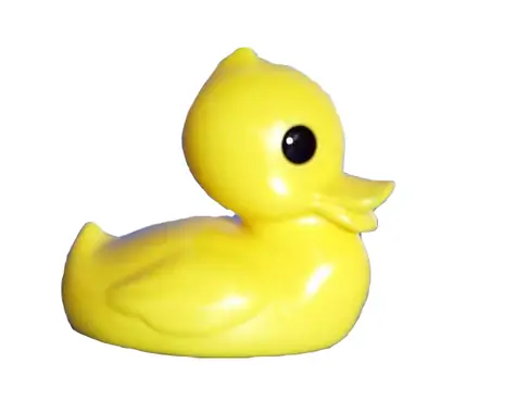Směr Kačer / od 12 měsíců