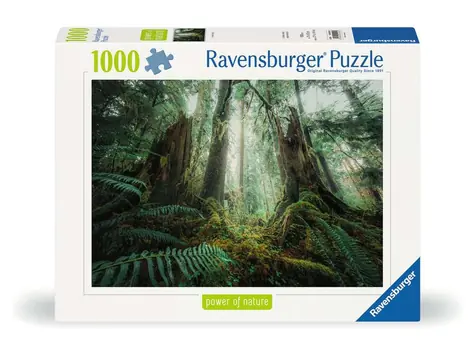 Ravensburger Les / 1000 dílků / od 14 let