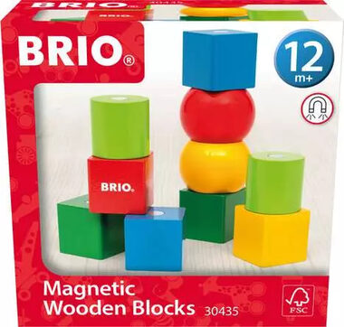 BRIO Magnetické dřevěné kostky / od 1 roku