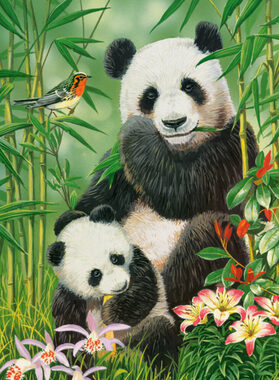 Castorland 104987 Pandí brunch / 1000 dílků / od 9 let