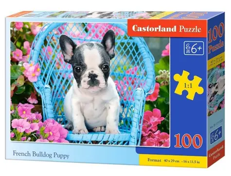 Castorland 111152 Štěně francouzského buldočka / 100 dílků / od 6 let