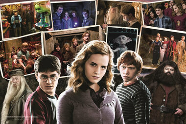 Trefl - Puzzle - Harry potter s přáteli / 160 dílků / 41 x 27.5 cm / věk 6+