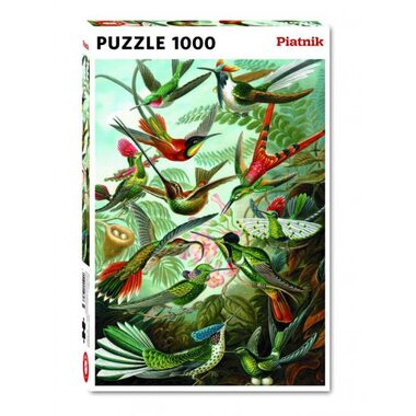 Piatnik Haeckel Kolibris / Počet dílků: 1000 / od 12 let