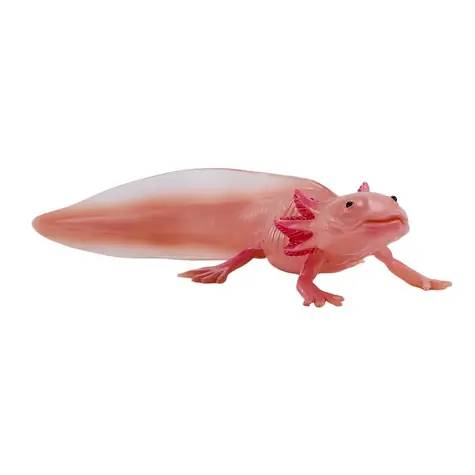 Mojo Axolotl / od 3 let