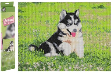 GRAFIX Diamantové malování Husky / 40x50 cm