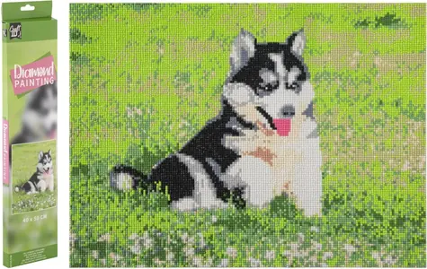 GRAFIX Diamantové malování Husky / 40x50 cm