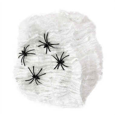 Rappa Pavoučí síť s pavouky