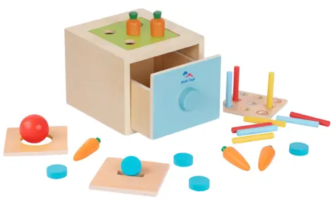 2Kids Toys Multifunkční vhazování / od 1 roku