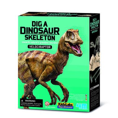 4M Dinosauří kostra - velociraptor / od 8 let