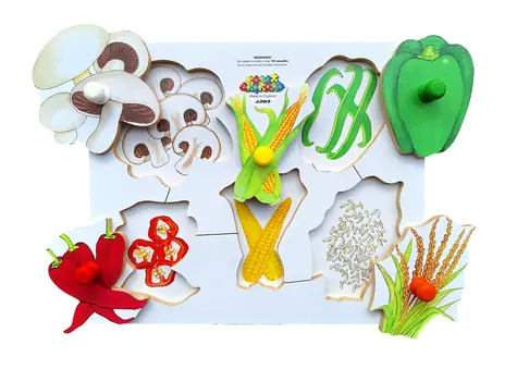 Just Jigsaws 153 Loupeme a krájíme plodiny 4 - dřevěné deskové puzzle / 6 dílů / od 3 let