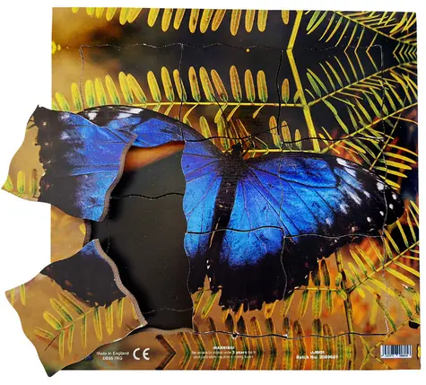 Just Jigsaws 601 Motýl a jeho životní cyklus - dřevěné vrstvené puzzle / 19 dílů / od 3 let
