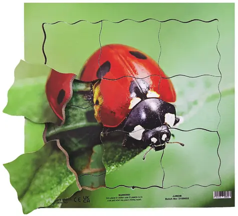 Just Jigsaws 602 Beruška a její životní cyklus - dřevěné vrstvené puzzle / 19 dílů / od 3 let