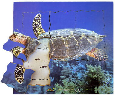 Just Jigsaws 605 Želva a její životní cyklus - dřevěné vrstvené puzzle / 19 dílů / od 3 let