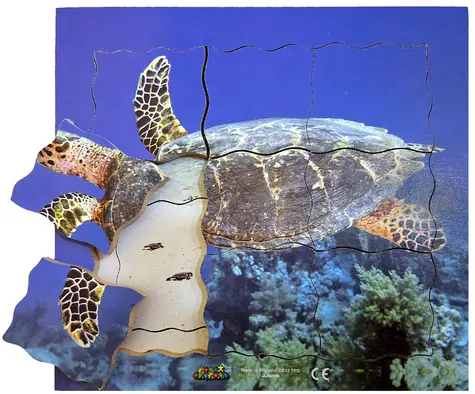 Just Jigsaws 605 Želva a její životní cyklus - dřevěné vrstvené puzzle / 19 dílů / od 3 let