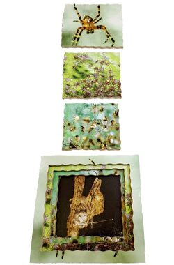 Just Jigsaws 645 Pavouk a jeho životní cyklus - dřevěné vrstvené puzzle / 19 dílů / od 3 let