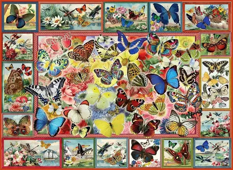 ANATOLIAN Puzzle Spousta motýlů / 1000 dílků / od 12 let