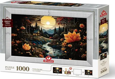 ART PUZZLE 5666 Puzzle s rámem a lepidlem 3v1 Noční krásky / 1000 dílků / od 15 let