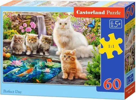 Castorland 066377 Puzzle Perfektní den / 60 dílků / od 5 let