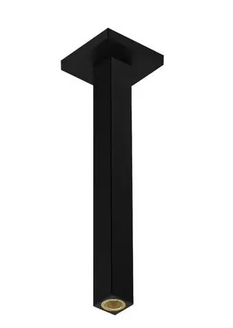 Hansgrohe Příslušenství - Sprchové rameno stropní | 31 cm | matná černá 