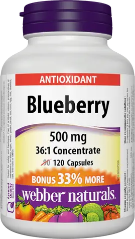 Webber Naturals Blueberry 500 mg 120 cps