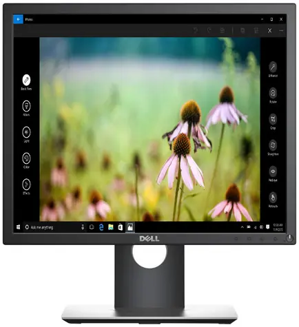 19" DELL Professional P1917S černá / LCD / 1280x1024 / IPS / 5:4 / 6ms / 1000:1 / 250cd-m2 / VGA+HDMI+DP / USB / 3YNB 