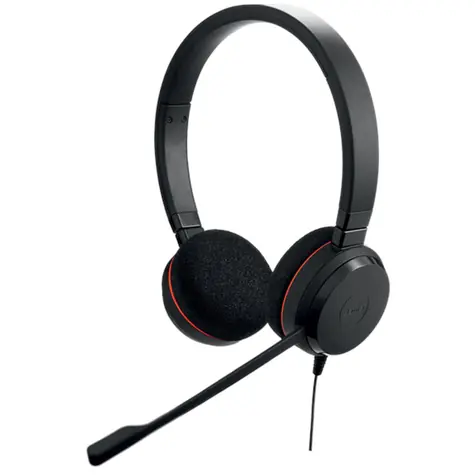 Jabra Evolve 20 černá / Pro callcentra / Stereo / USB-C / MS