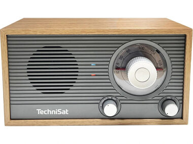 TechniSat CLASSIC 205 gray/golden oak
