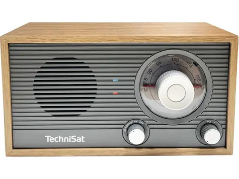TechniSat CLASSIC 205 gray/golden oak