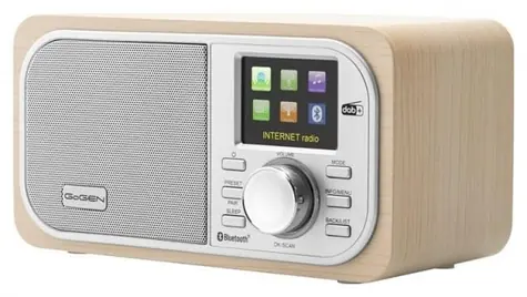 GoGEN IR237BTDAB hnědo-stříbrná / internetové rádio / bluetooth / 4W 