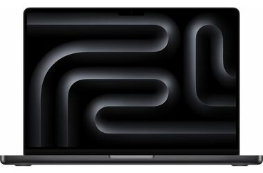 Apple MacBook Pro 16" M4 Pro 2024 Space Black / Apple M4 Pro / 24GB / 512GB SSD / Apple 20-Core iGPU / macOS / CZ