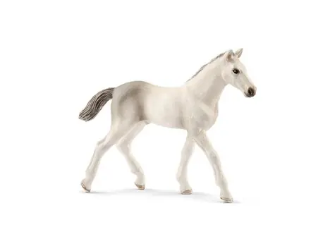 Schleich Horse Club 13860 Hříbě holštýnského koně / od 3 let