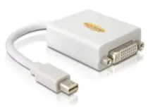 Delock adaptér DisplayPort mini (samec) na DVI 24+5 (samice), bílý