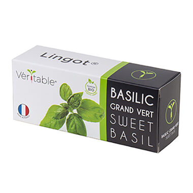 Véritable Bio semínka bazalky / pro chytré květináče Véritable