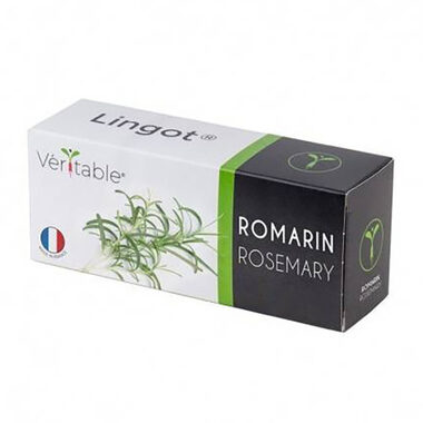 Véritable Bio semínka rozmarýnu / pro chytré květináče Véritable